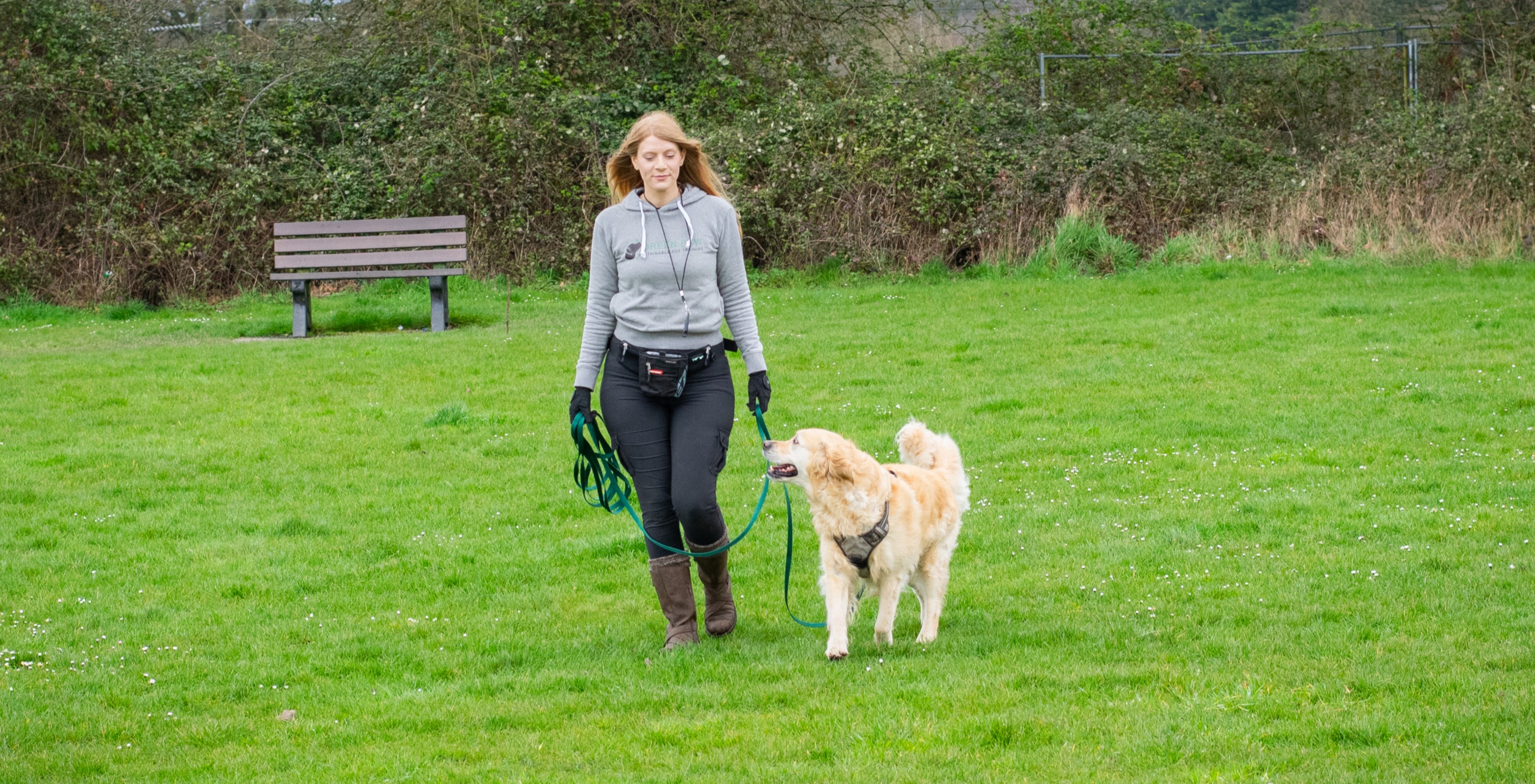 Trainer Phili walks towards the camera with a Golden Retriever on a longline